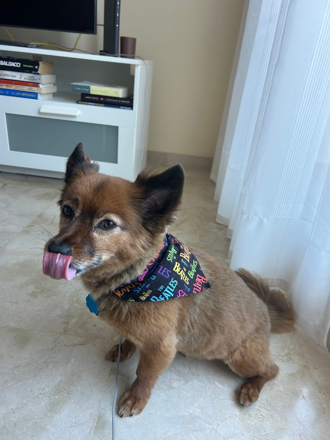 Customer photo review of All Pups Seasoning: Essential Nutrients