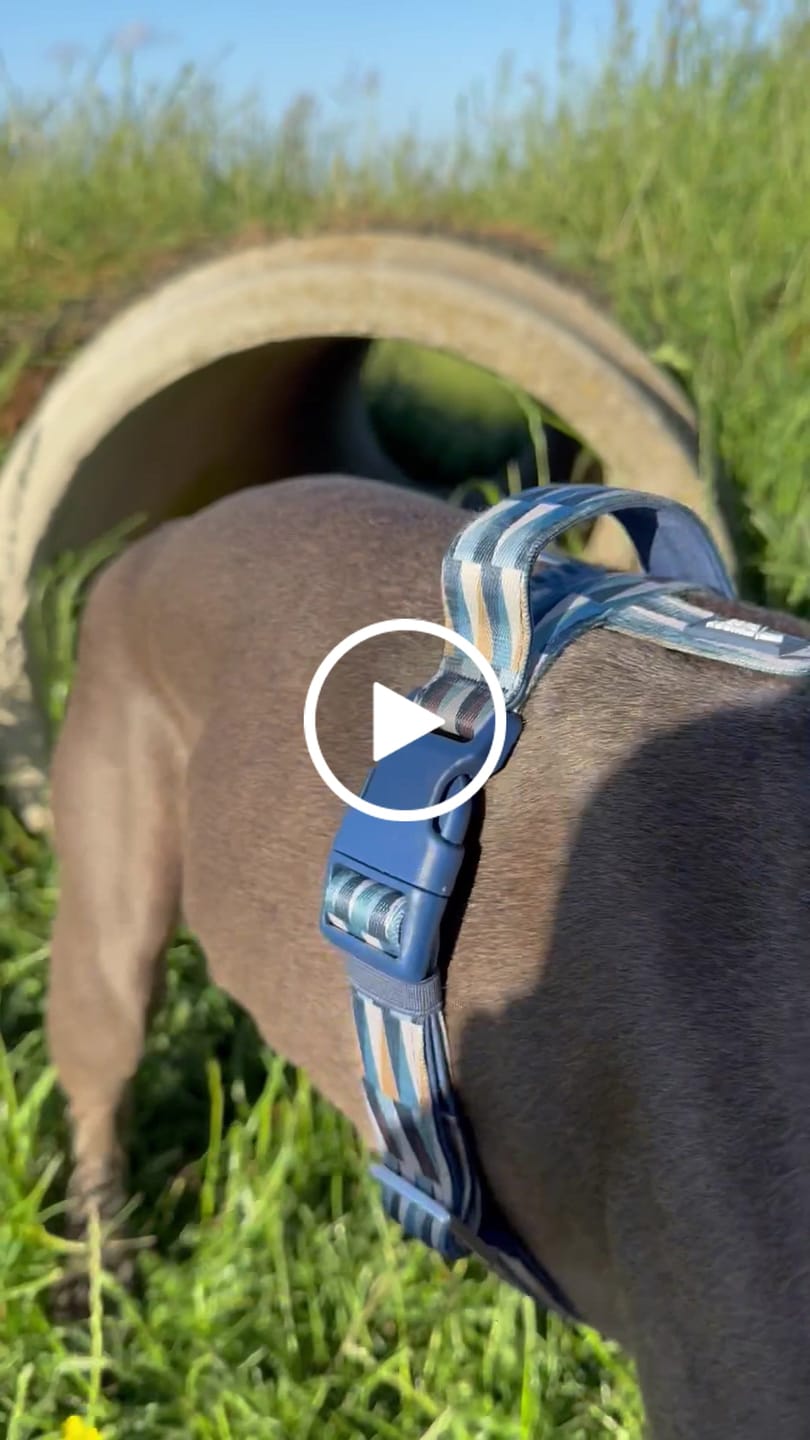 Customer video review of Horizon Harness