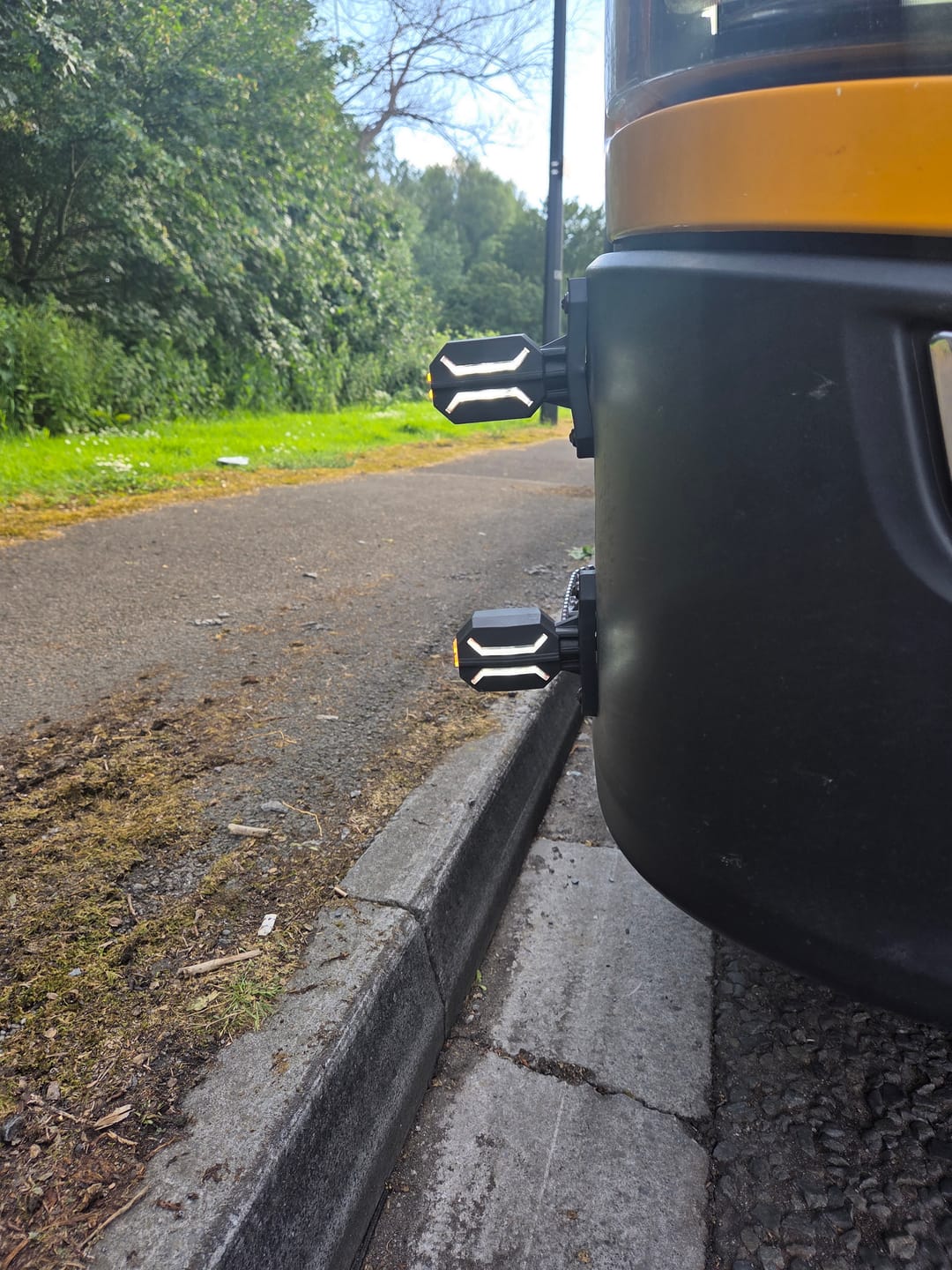 Customer photo review of Dragon Outline Stalk Marker Lamps / Short