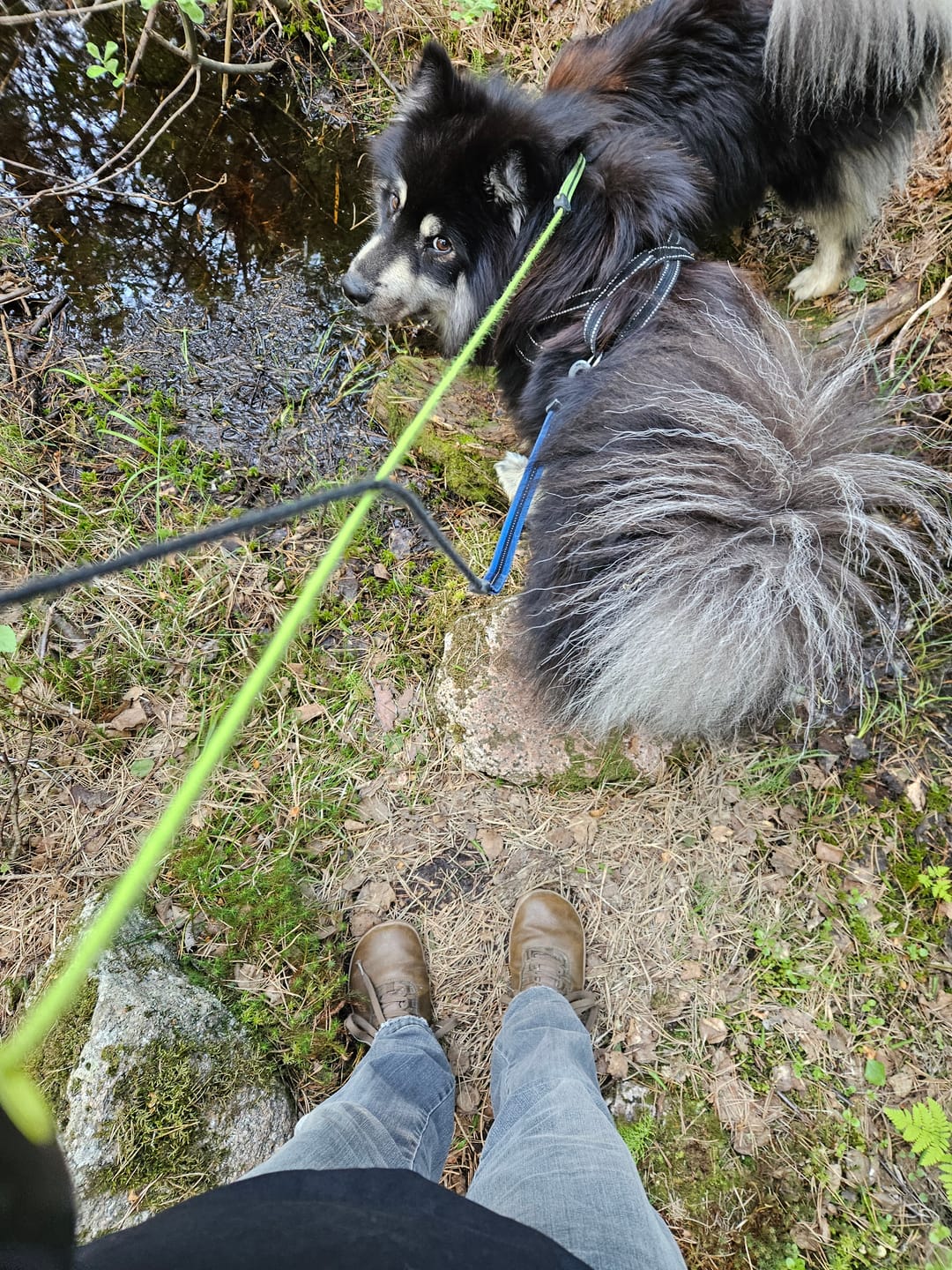 Customer photo review of Vaistoa Uoma 2 -paljasjalkavaelluskengät