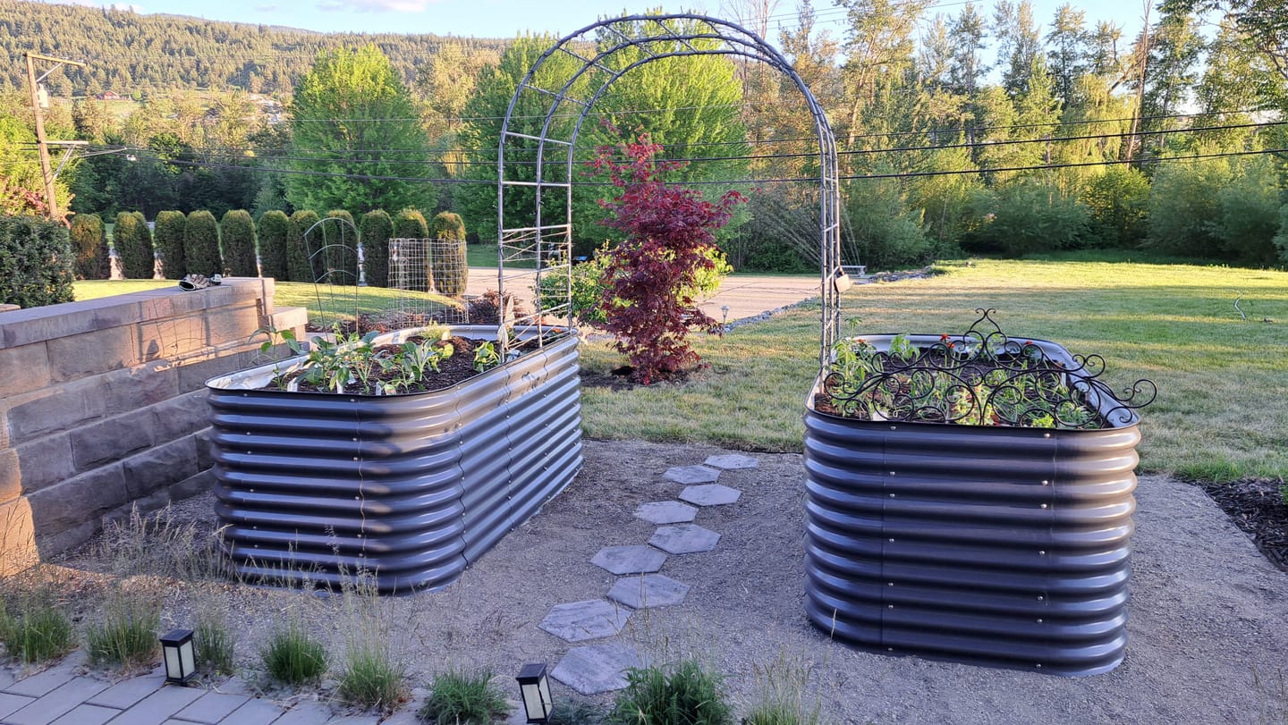 Customer photo review of Arch Garden Trellis