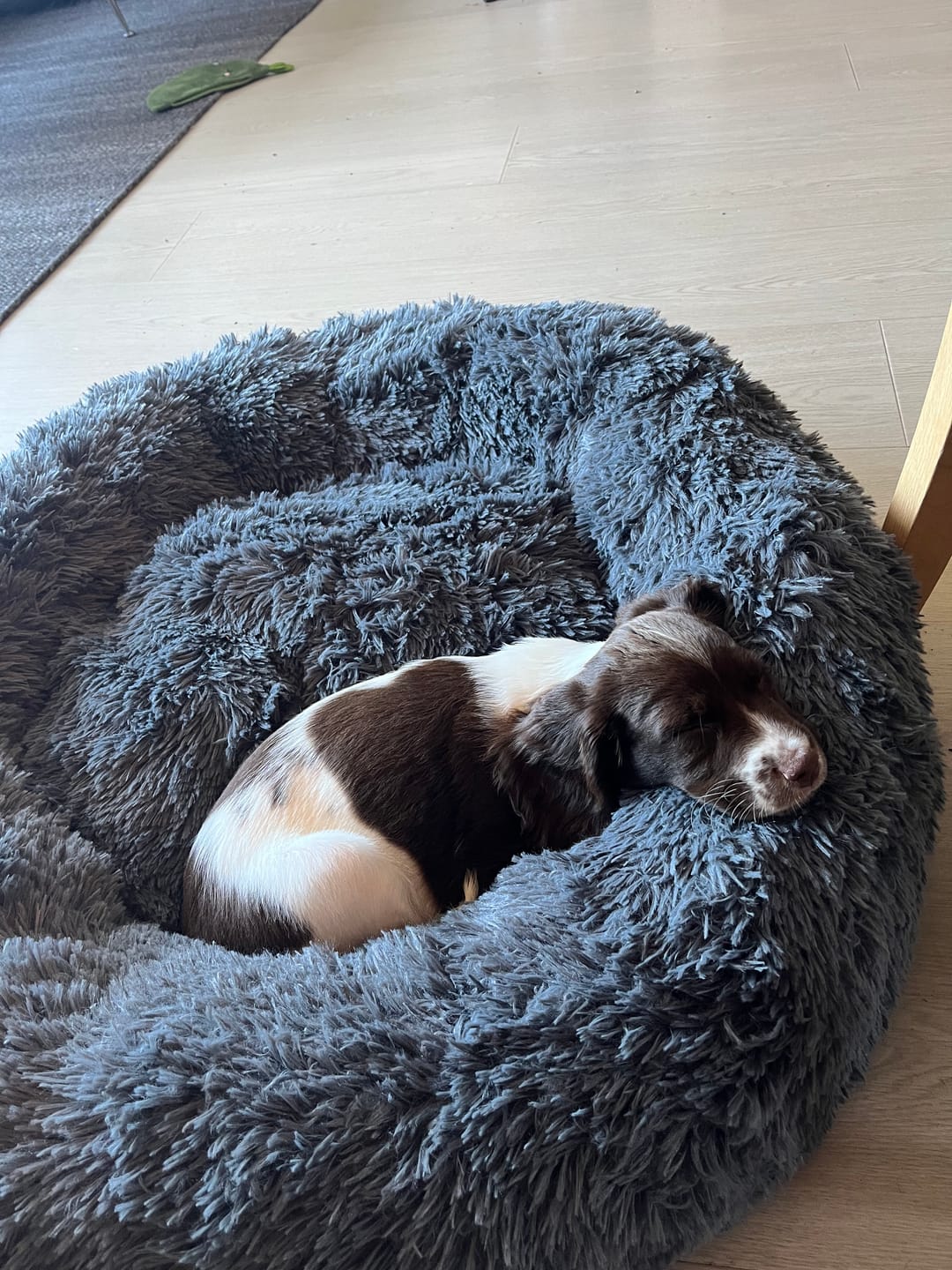 Customer photo review of CalmBed - Motvirker stress & hjelper mot angst