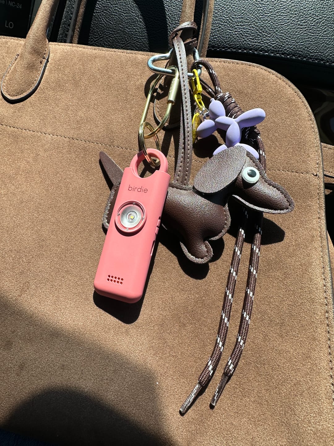 Customer photo review of Birdie 3.0