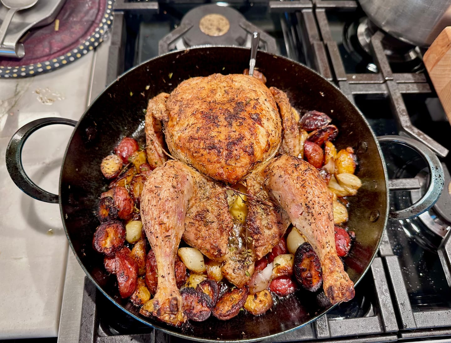 Customer photo review of Pro Saucier - Loop Handles - Seconds