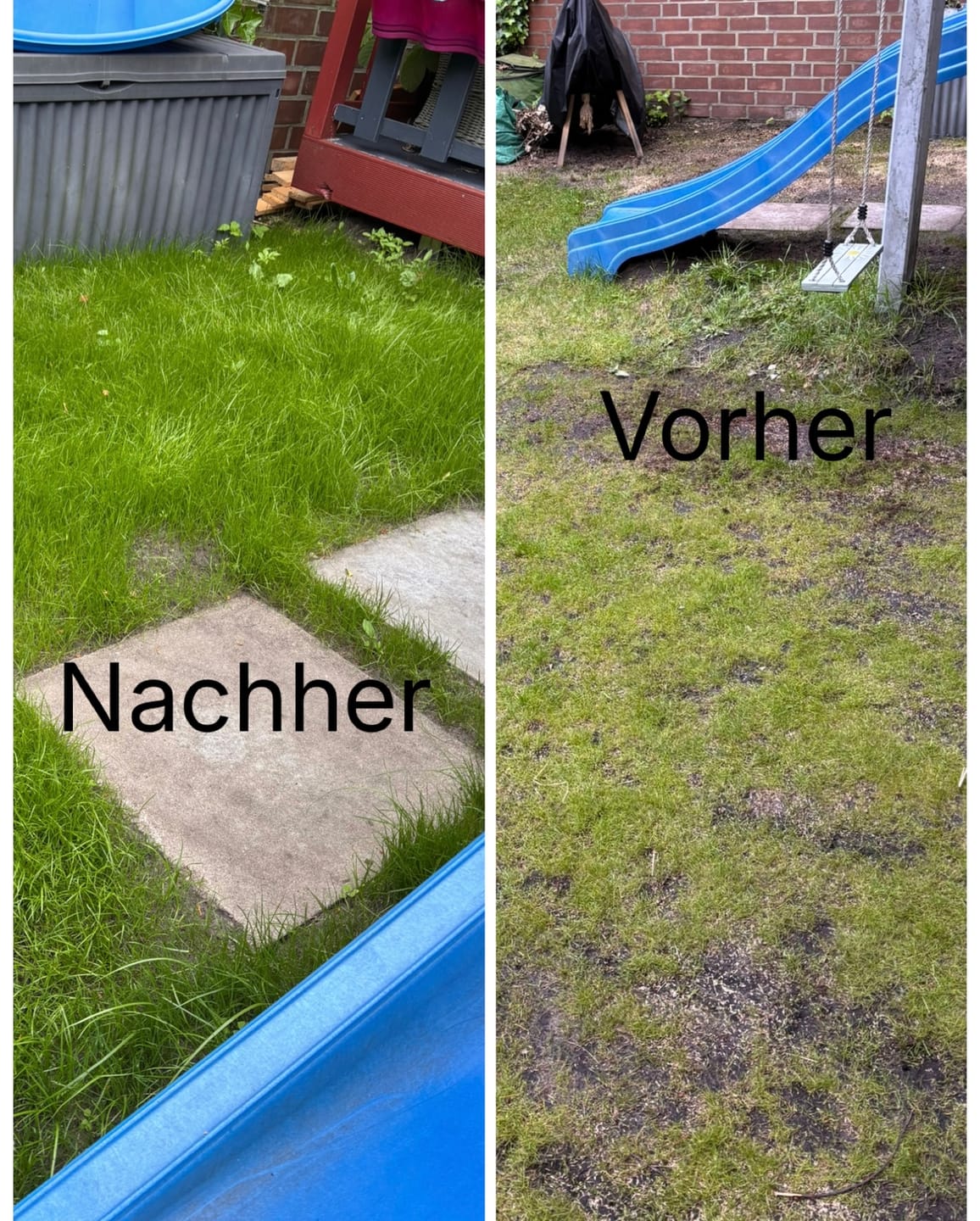 Customer photo review of RASENBLITZ™ - FRÜHJAHRSDÜNGER