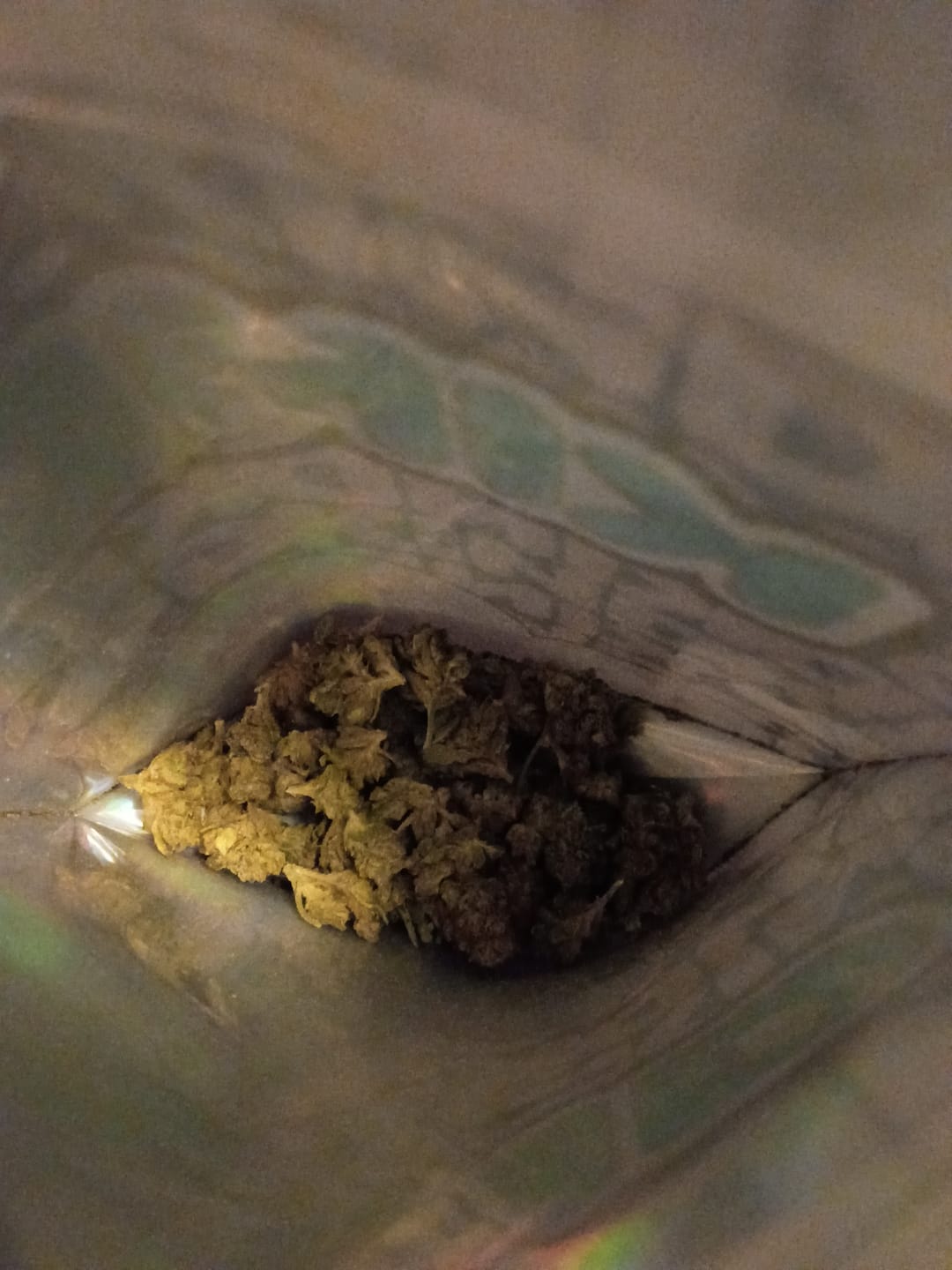 Customer photo review of Gummies - Minis - 28 Grams - Hybrid