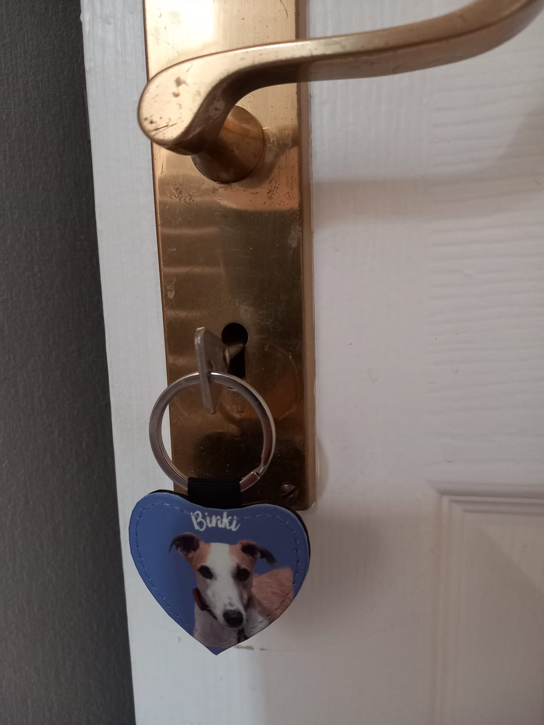 Customer photo review of Pet portrait - Personalised Keychain