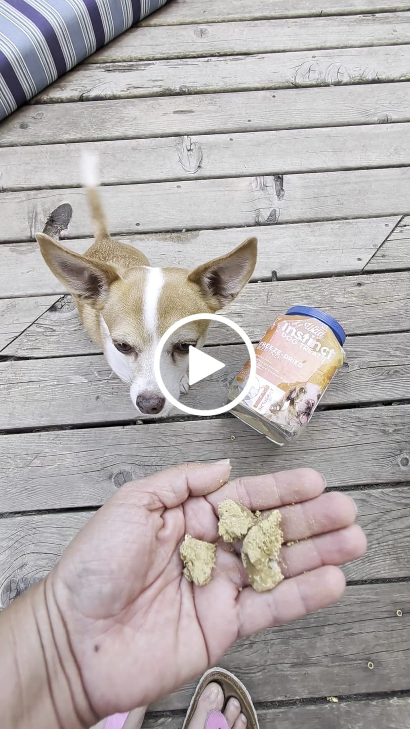 Customer video review of Freeze-Dried Beef Liver for Dogs