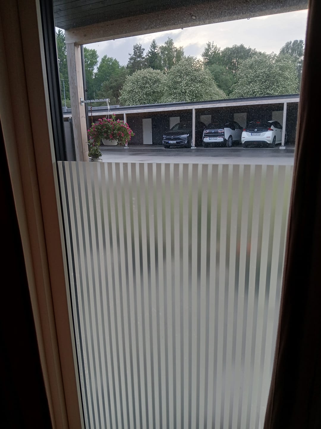 Customer photo review of Static Linia vindusfolie