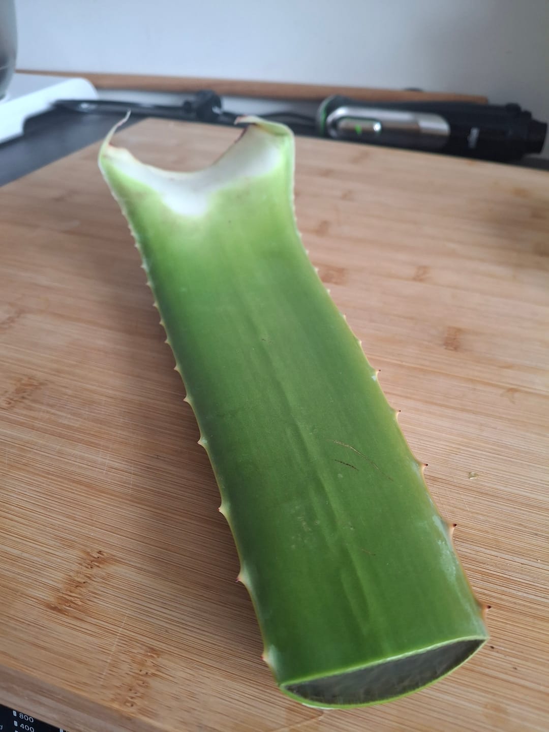 Customer photo review of Aloe Vera frisch Bio