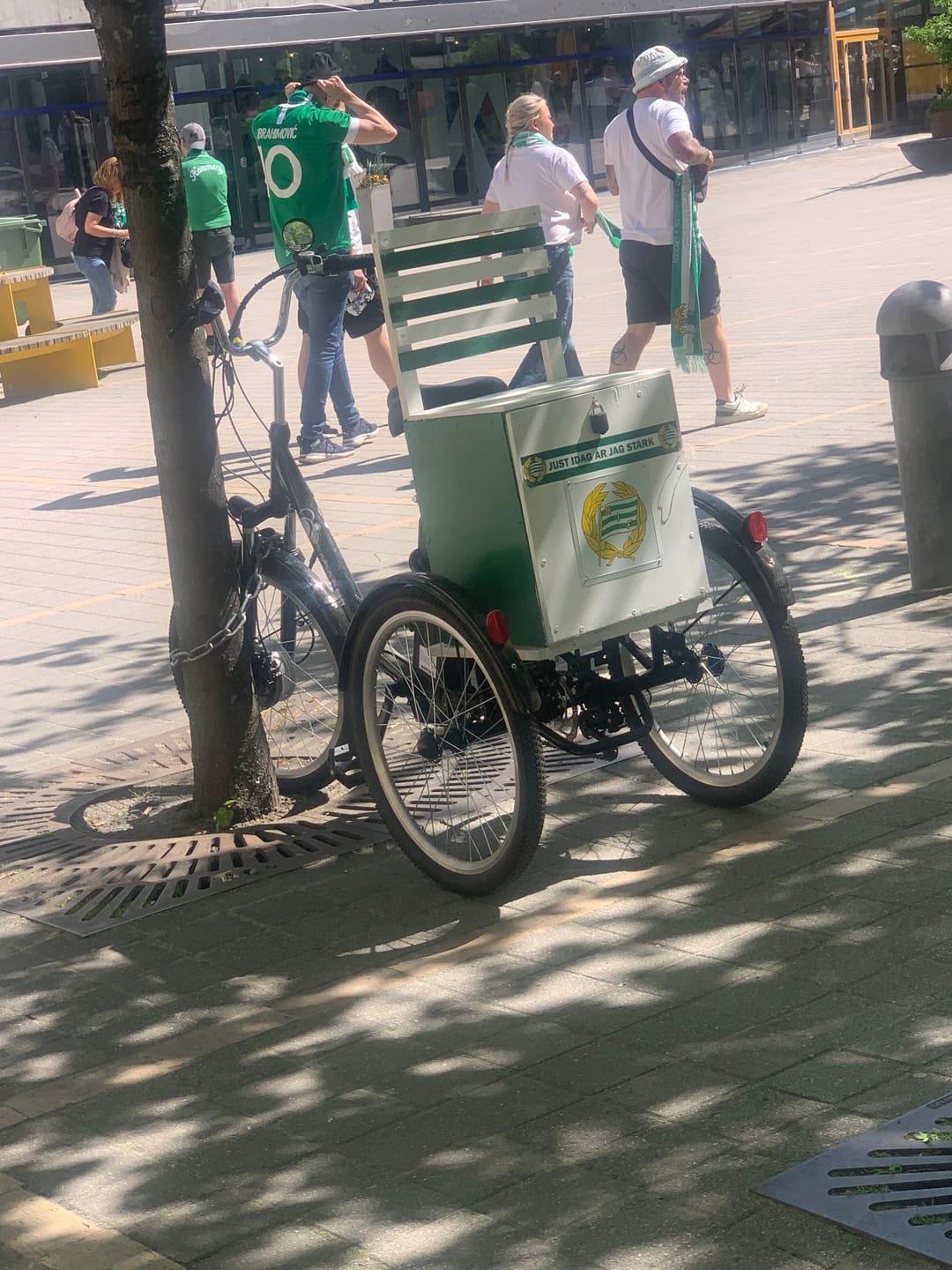 Customer photo review of GOGOBEST GF100 350W 15Ah Electric City Tricycle Cargo Ebike