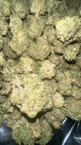Customer photo review of NYC Diesel THCA Flower