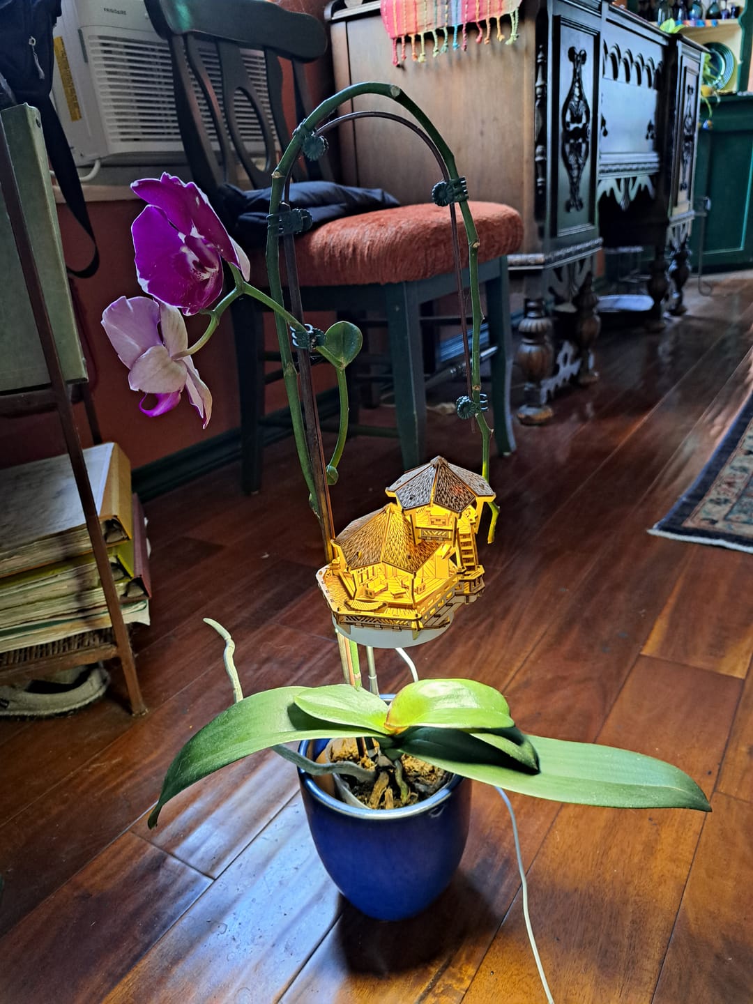 Customer photo review of Island Cabana + Grow Light