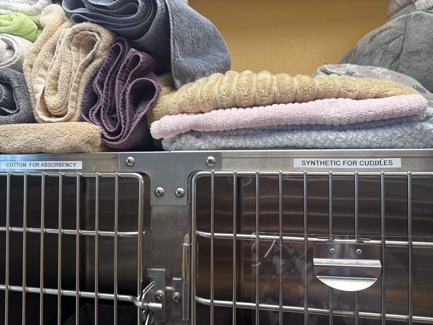 Customer photo review of Veterinary Laundry Room Makeover | Eco-Friendly Clinic Upgrade Package