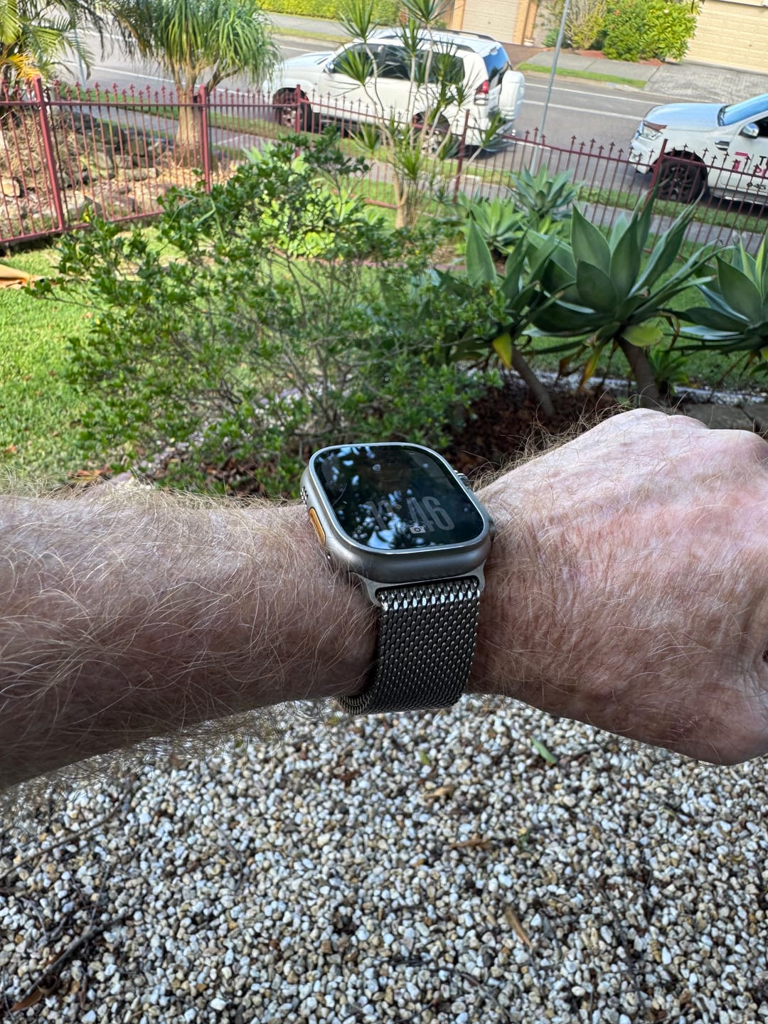Customer photo review of Titanium Milanese Loop