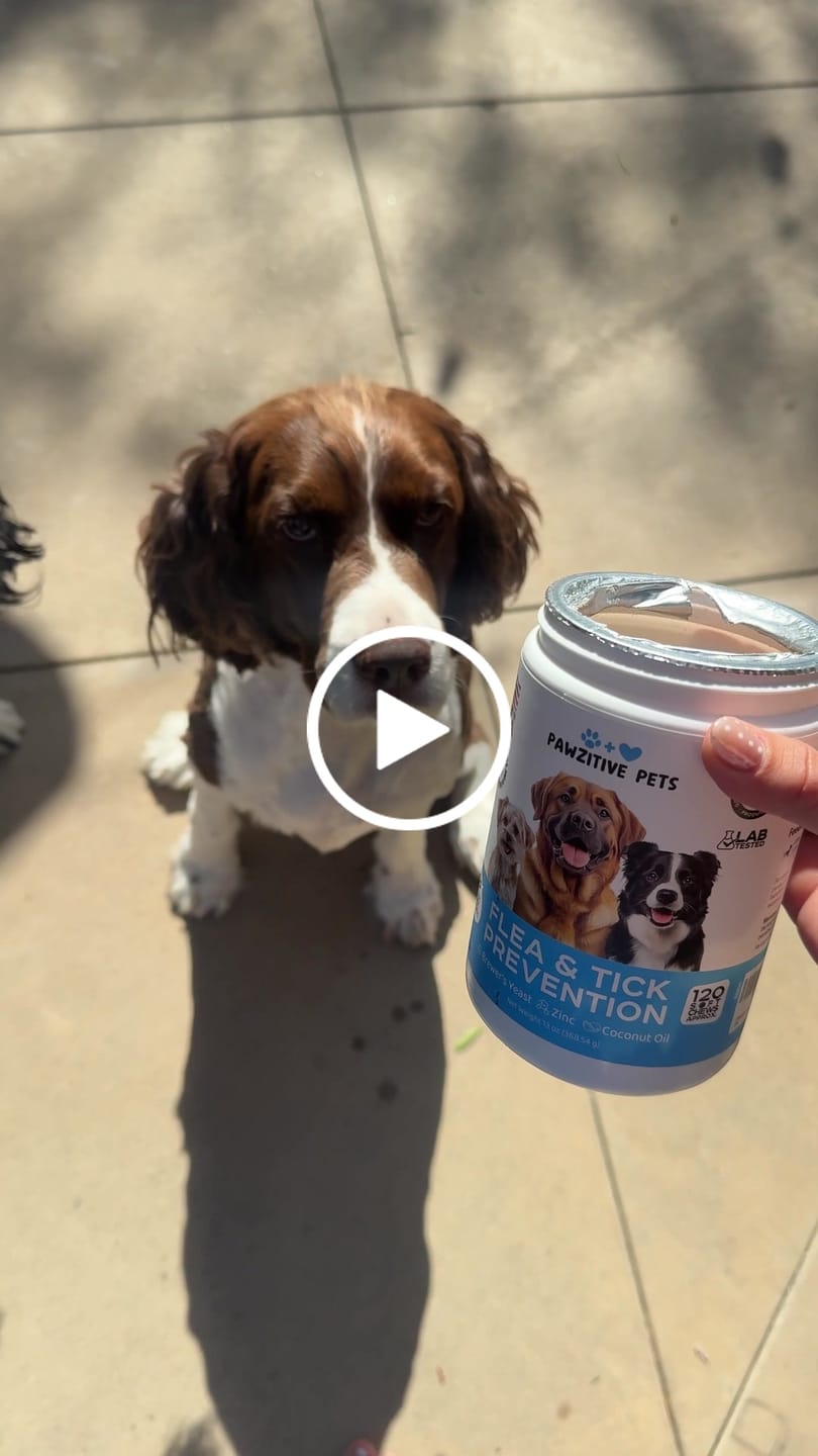 Customer video review of Flea and Tick Prevention for Dogs – 120 Soft Chews