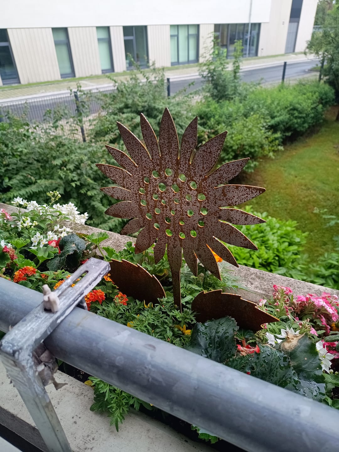Customer photo review of Gartenstecker Sonnenblume