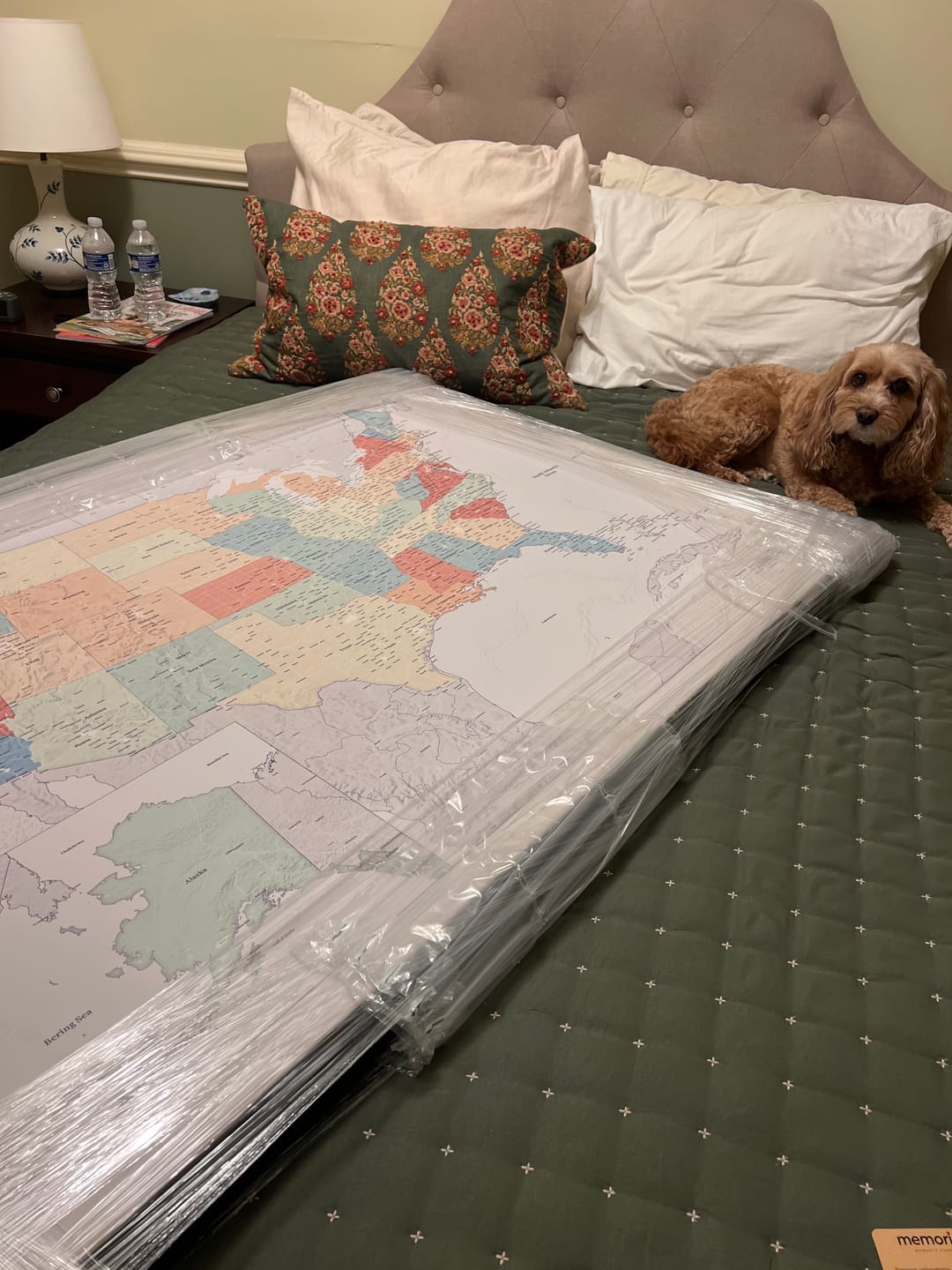 Customer photo review of Smart USA Map Bundle - Color