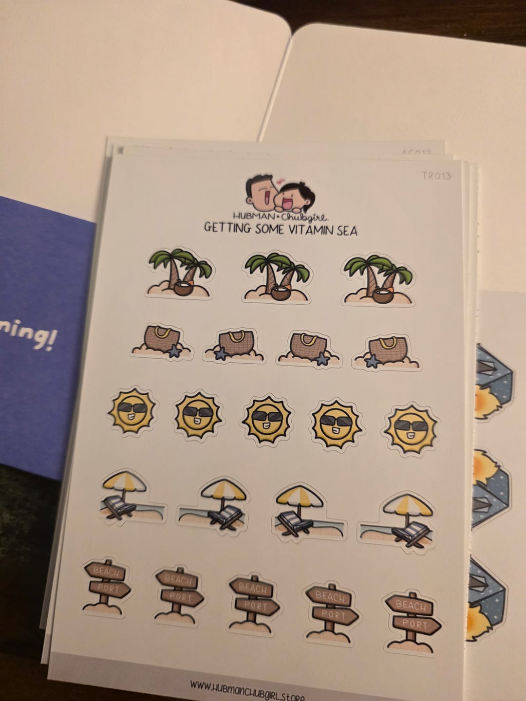 Customer photo review of Getting Some Vitamin Sea Planner Stickers