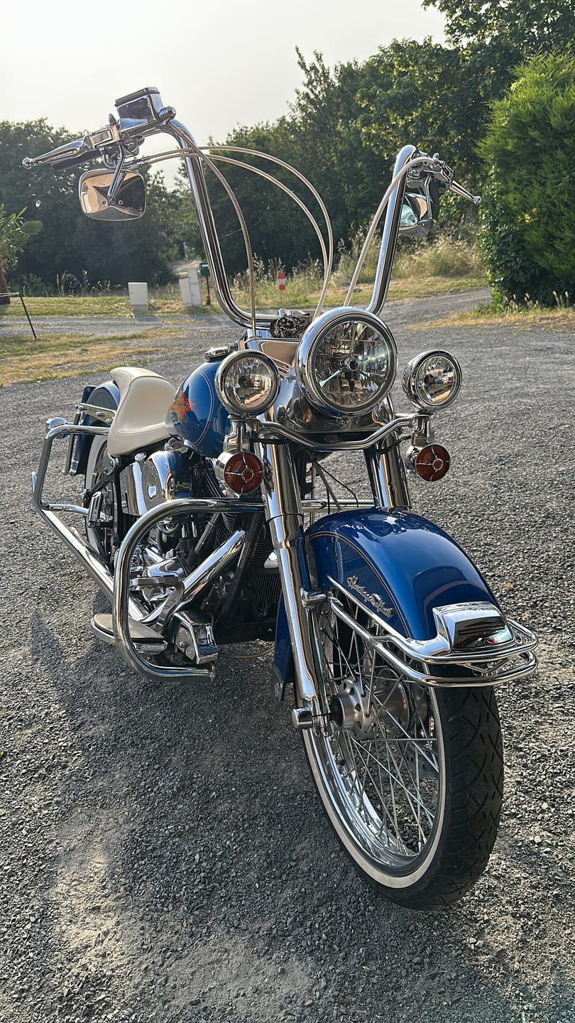 Customer photo review of Harley Davidson Turn Signal Lenses - Screw in Style