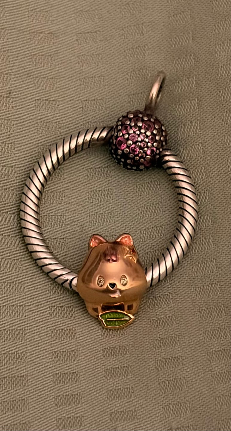 Customer photo review of INSTOCKS: Project SKZ! individual charms round 2