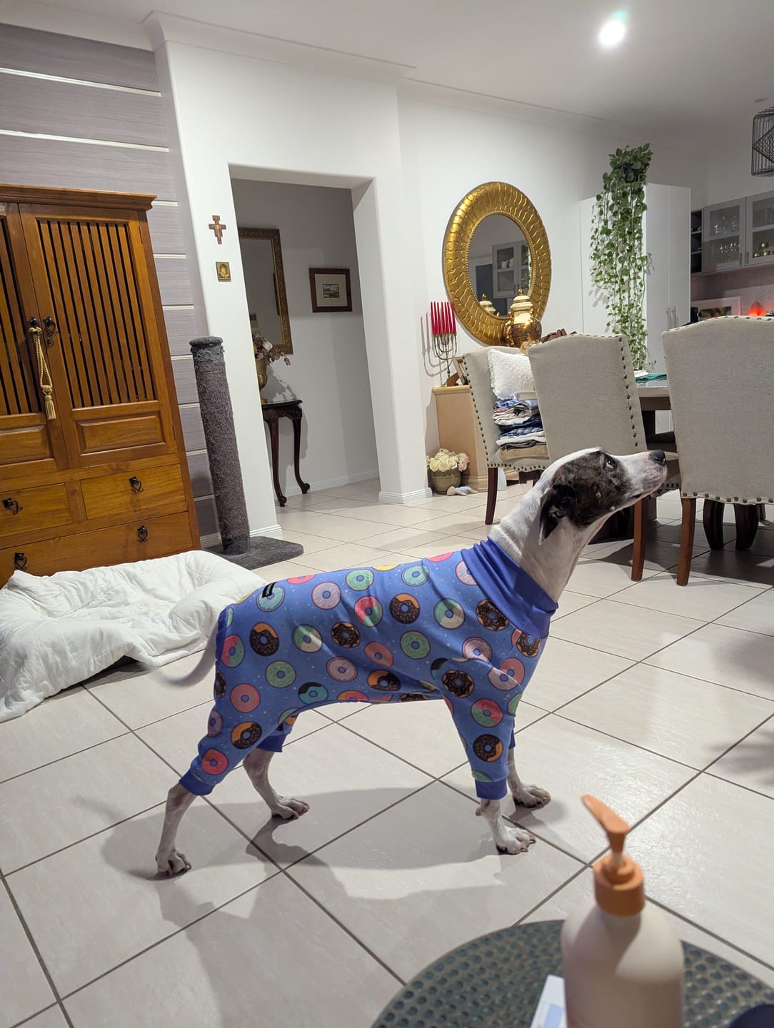 Customer photo review of Dog Pajama Prints