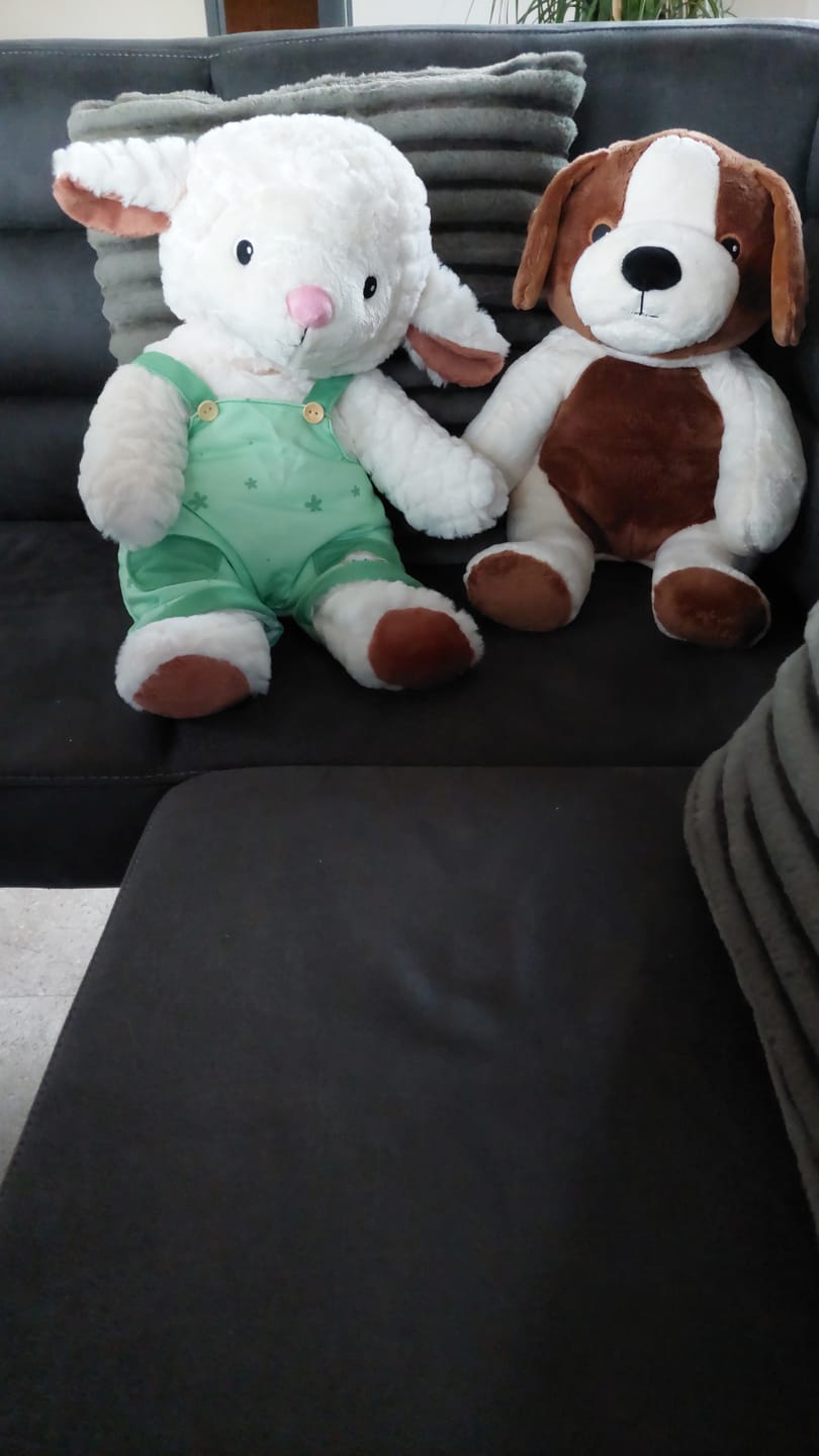 Customer photo review of Lotgenootje Hond 2kg