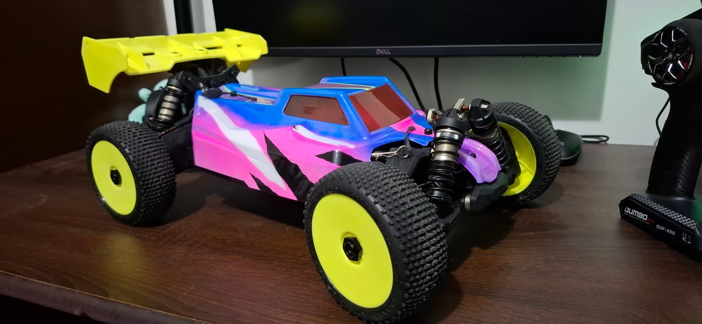 Customer photo review of Rlaarlo 1/8 4WD Buggy Dragon Scale Knight | DSK KIT