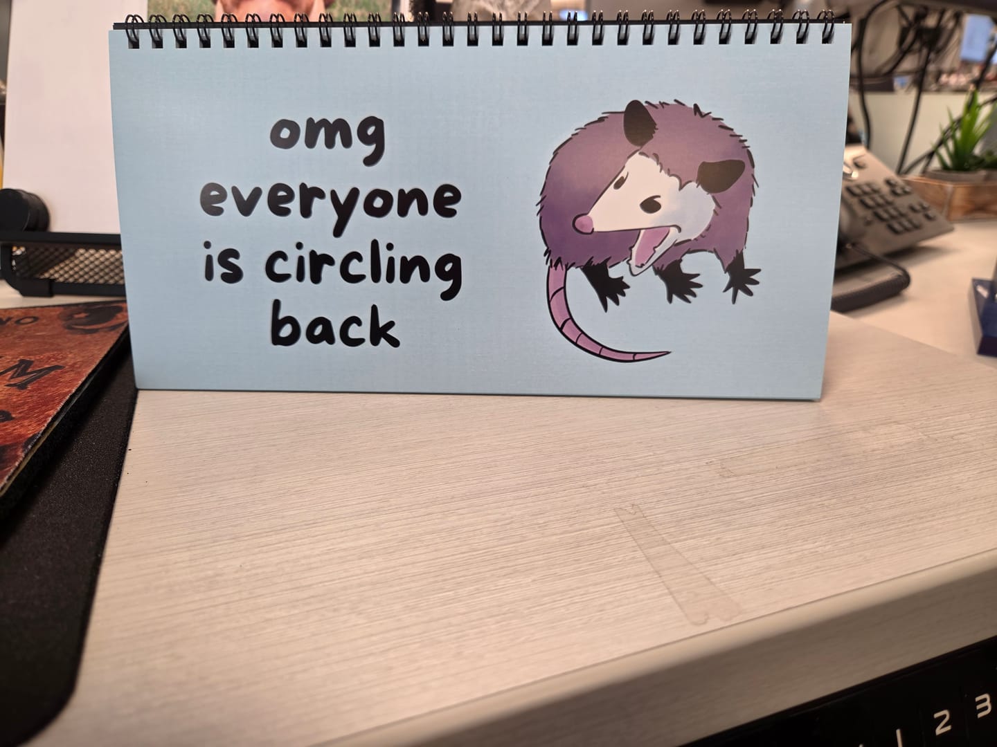 Customer photo review of Opossums At Work Desk Sign
