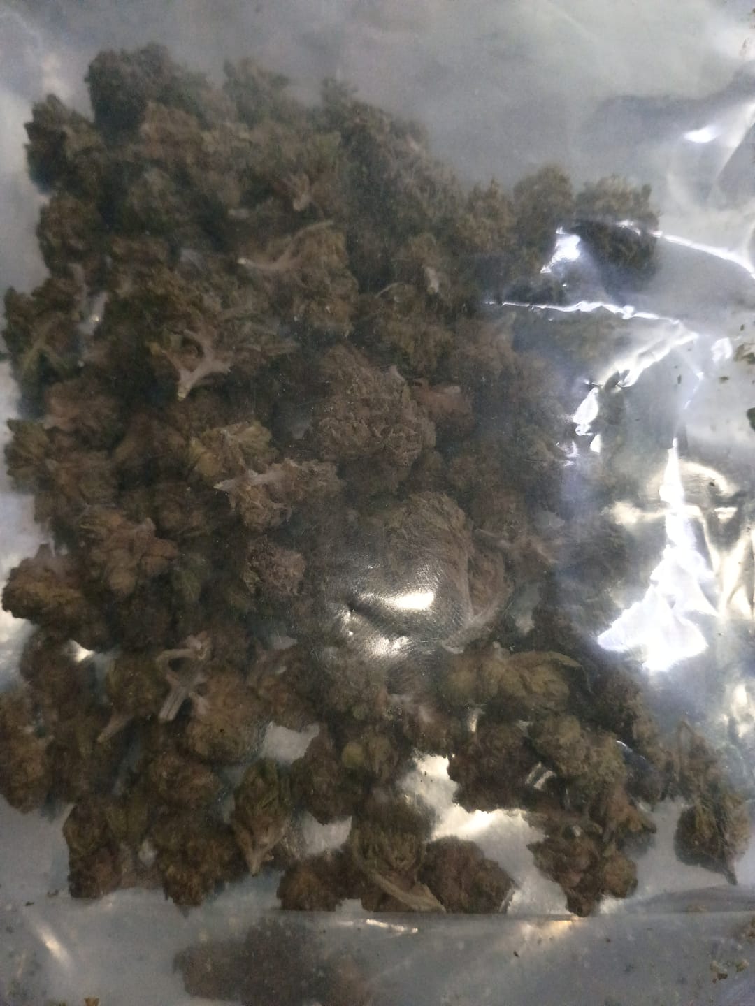 Customer photo review of Greenhouse Smalls