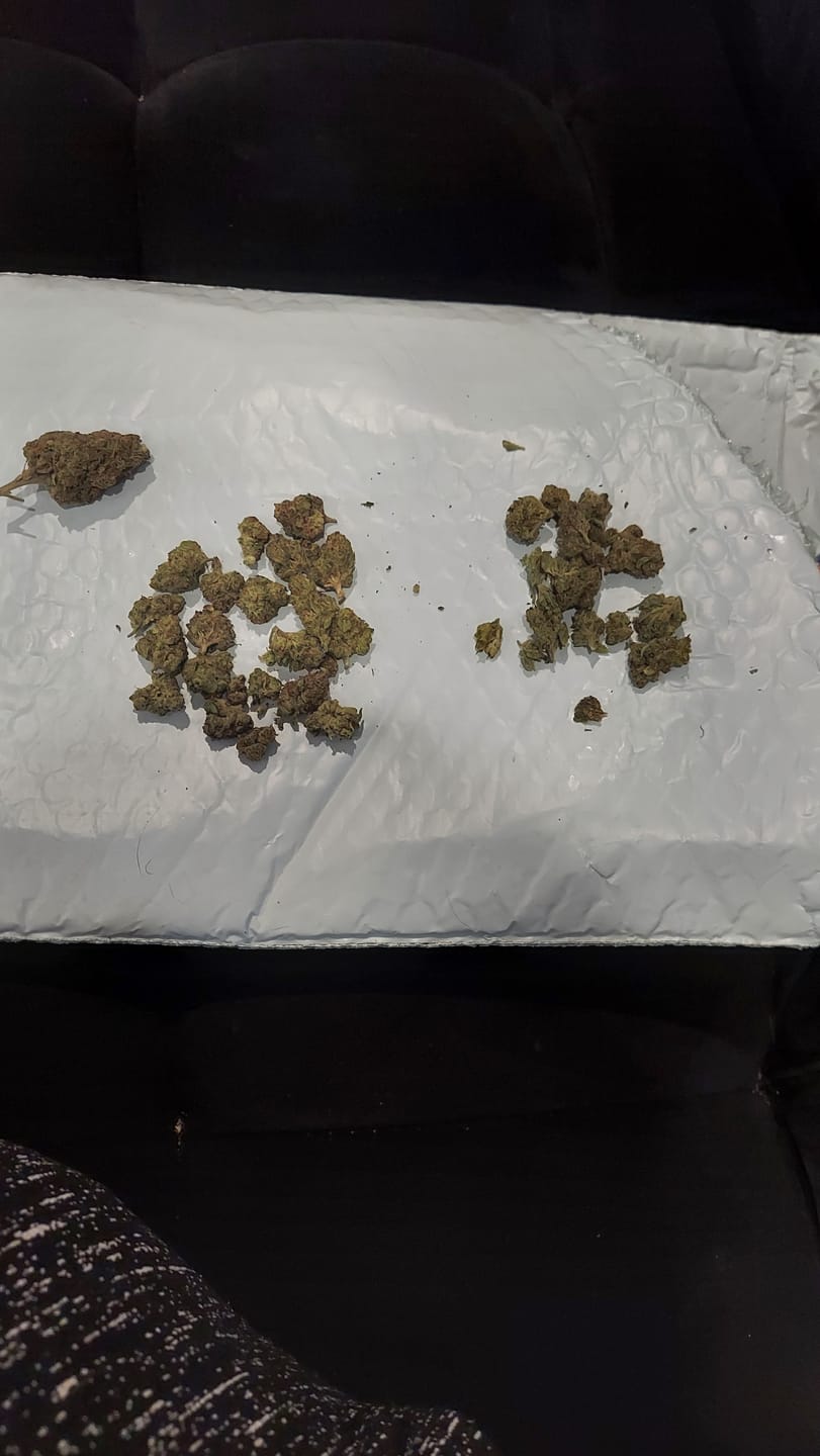Customer photo review of Gorilla Glue - Minis - 14 Grams - Hybrid
