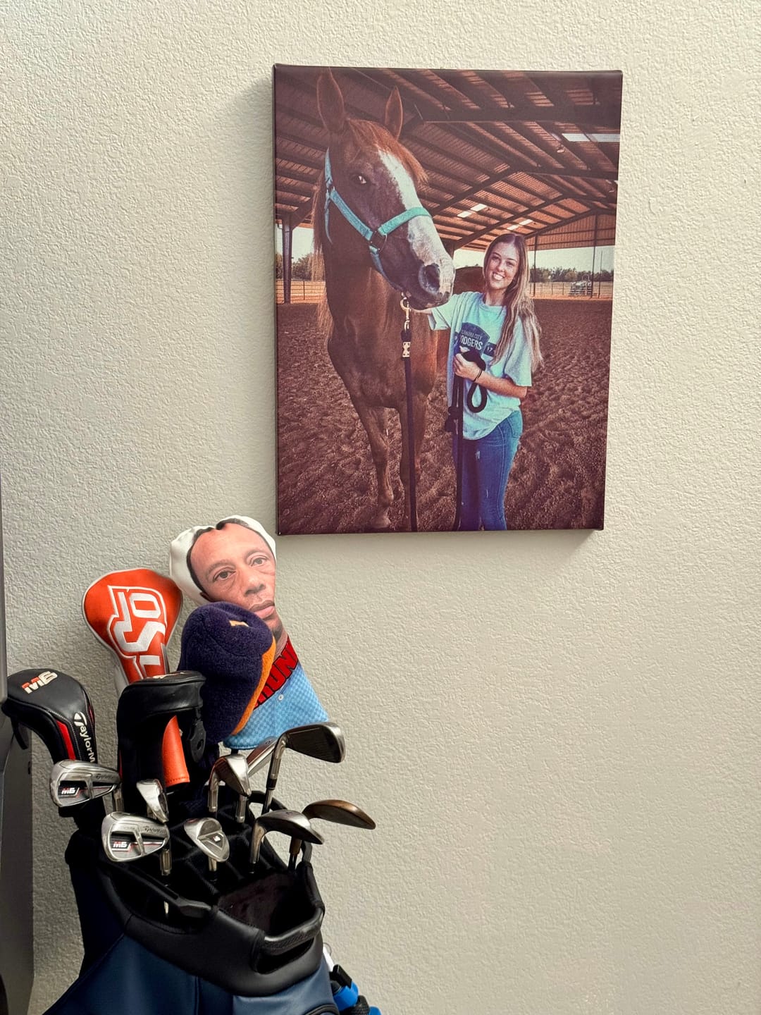 Customer photo review of Create Your Own Legendary Wall Art