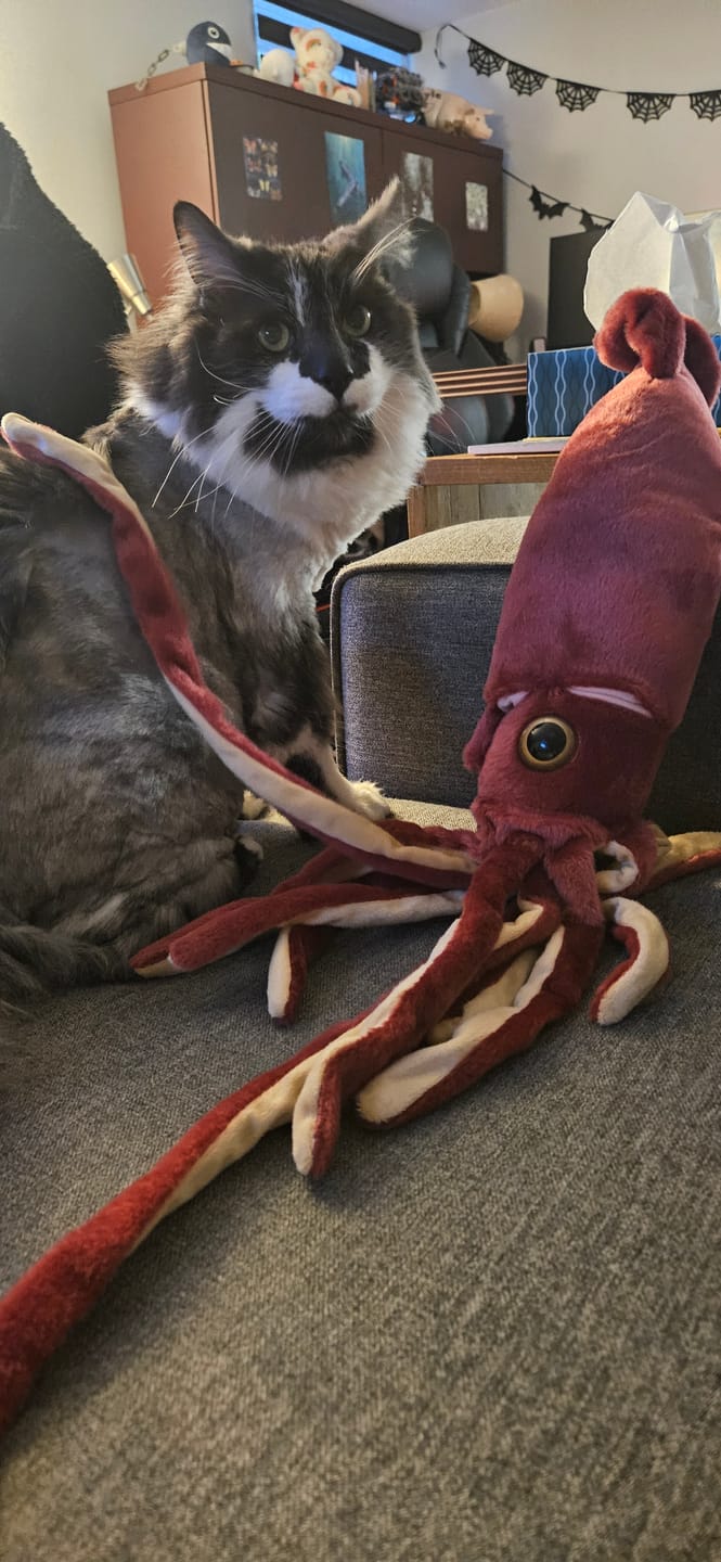 Customer photo review of Giant Squid Soft Stuffed Plush Toy