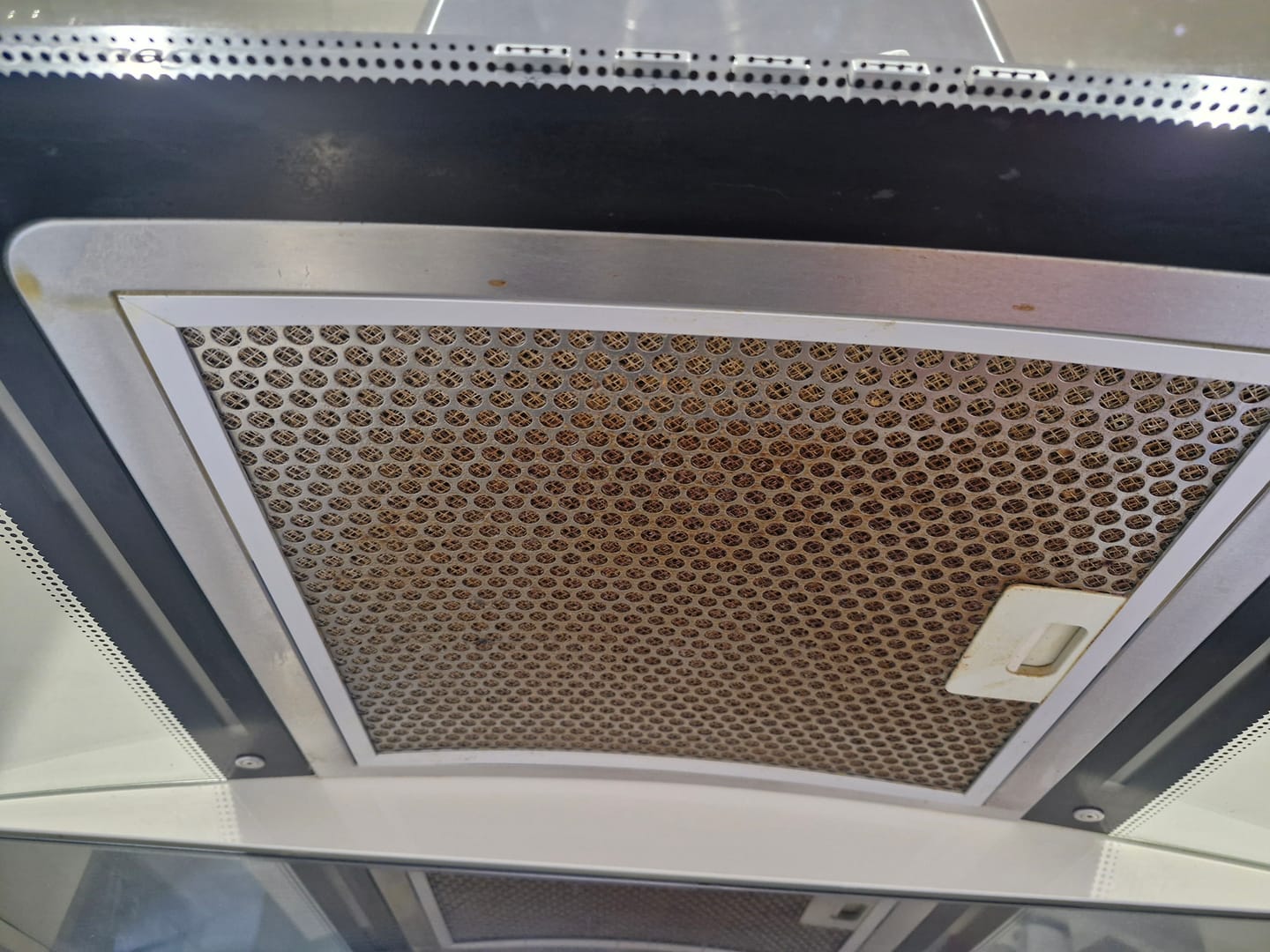 Customer photo review of SHYN Grime Lifter
