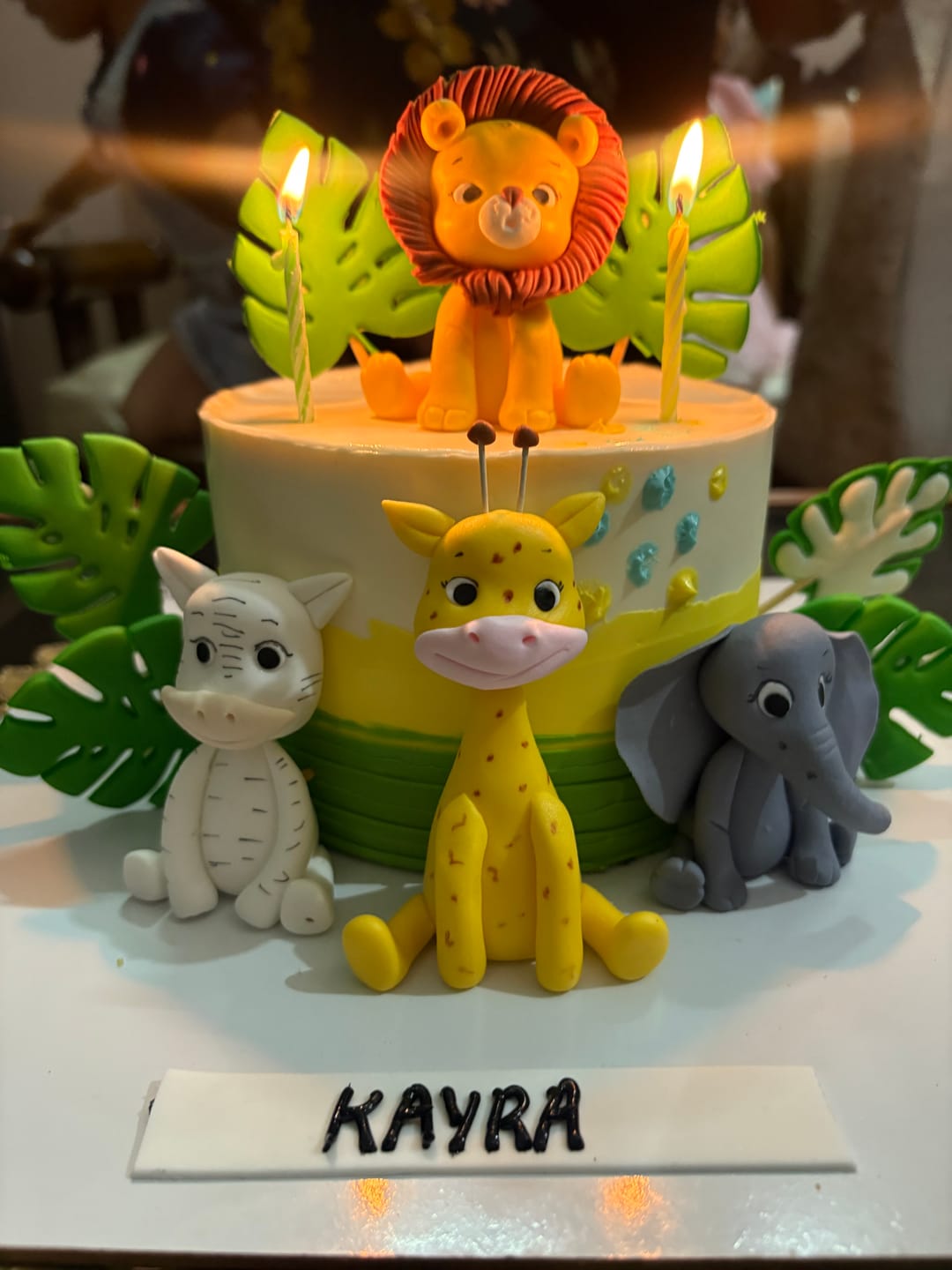 Customer photo review of Animal Party Birthday Cake