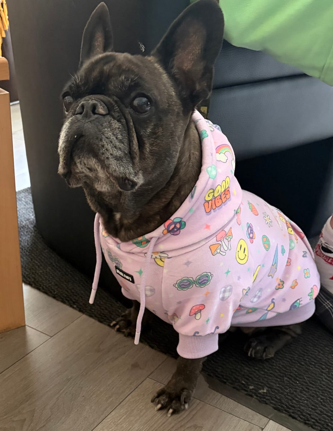 Customer photo review of Good Vibes Dog Hoodie - Purple