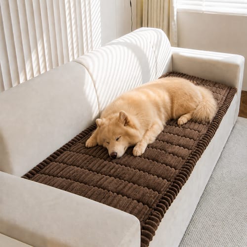 Customer photo review of Cosy Couch - Couch Cover