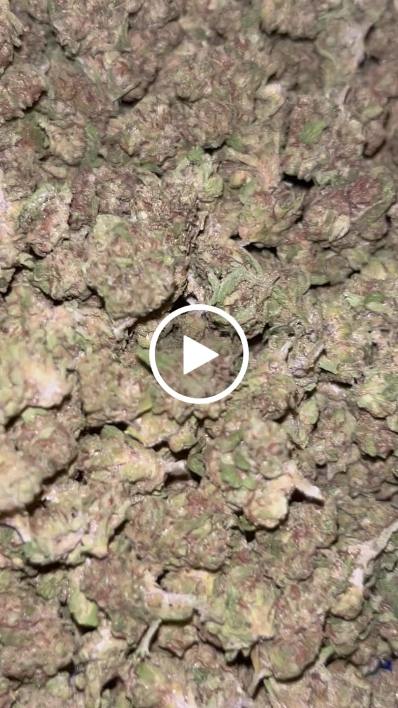 Customer video review of Cookies and Cream Minis - Bulk Minis - Hybrid