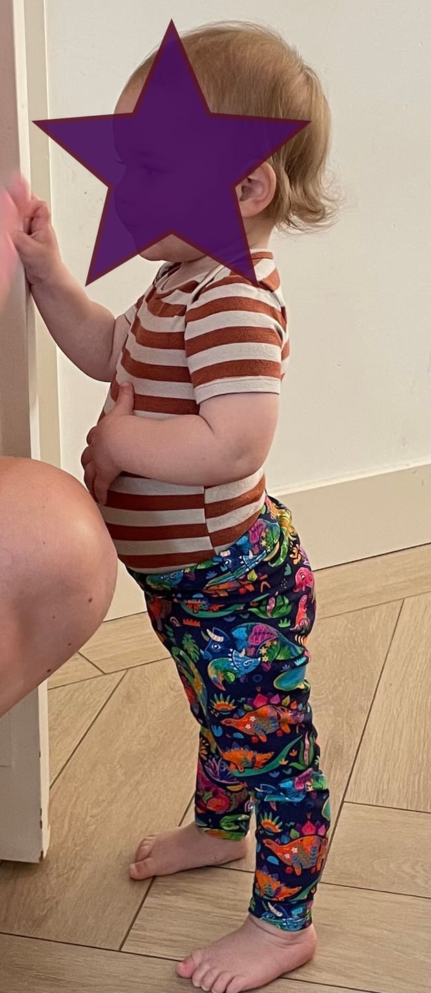Customer photo review of Multicoloured Dinosaurs on Navy French Terry Fabric