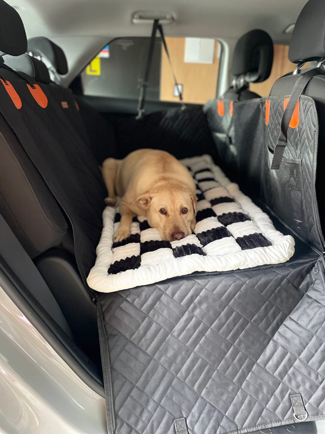 Customer photo review of Companion&Co™ Hard Bottom Car Seat Cover