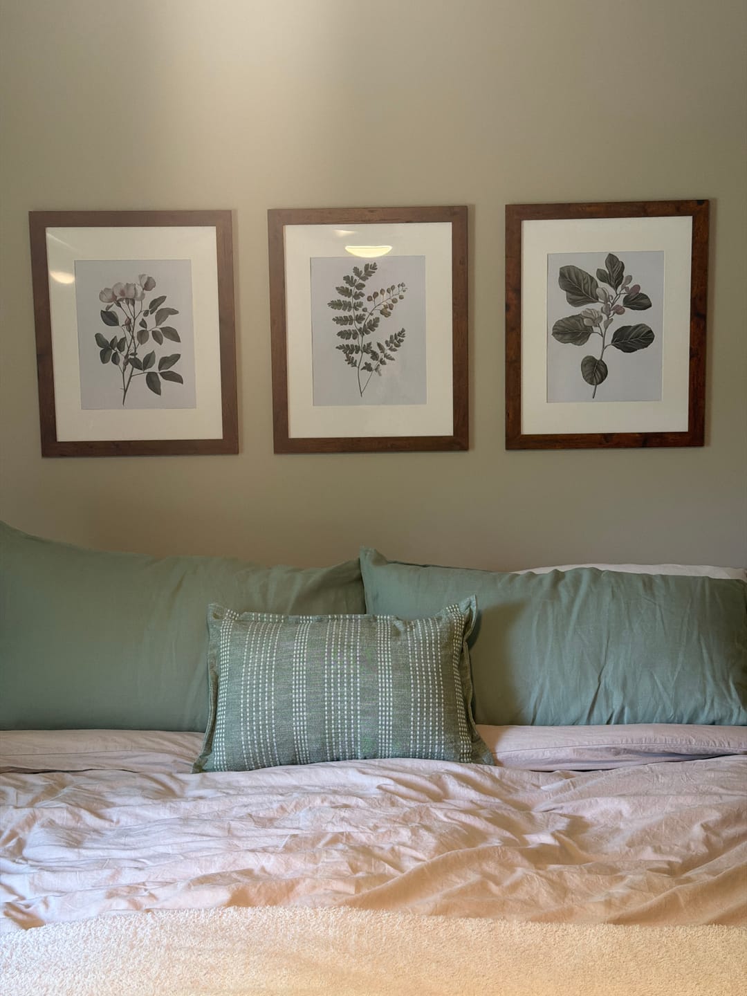 Customer photo review of Minimalist Lithographic Plants Prints. 3 Piece Botanical Art
