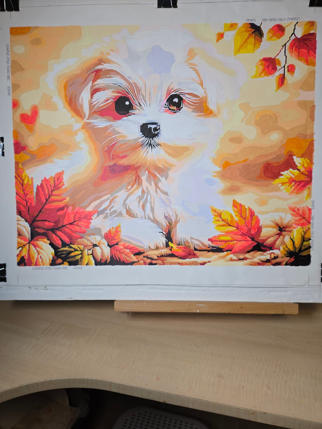 Customer photo review of small white dog - Paint by Numbers
