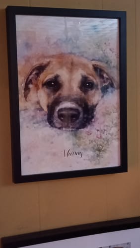 Customer photo review of Personalised Poster With Dog or Cat - Watercolour