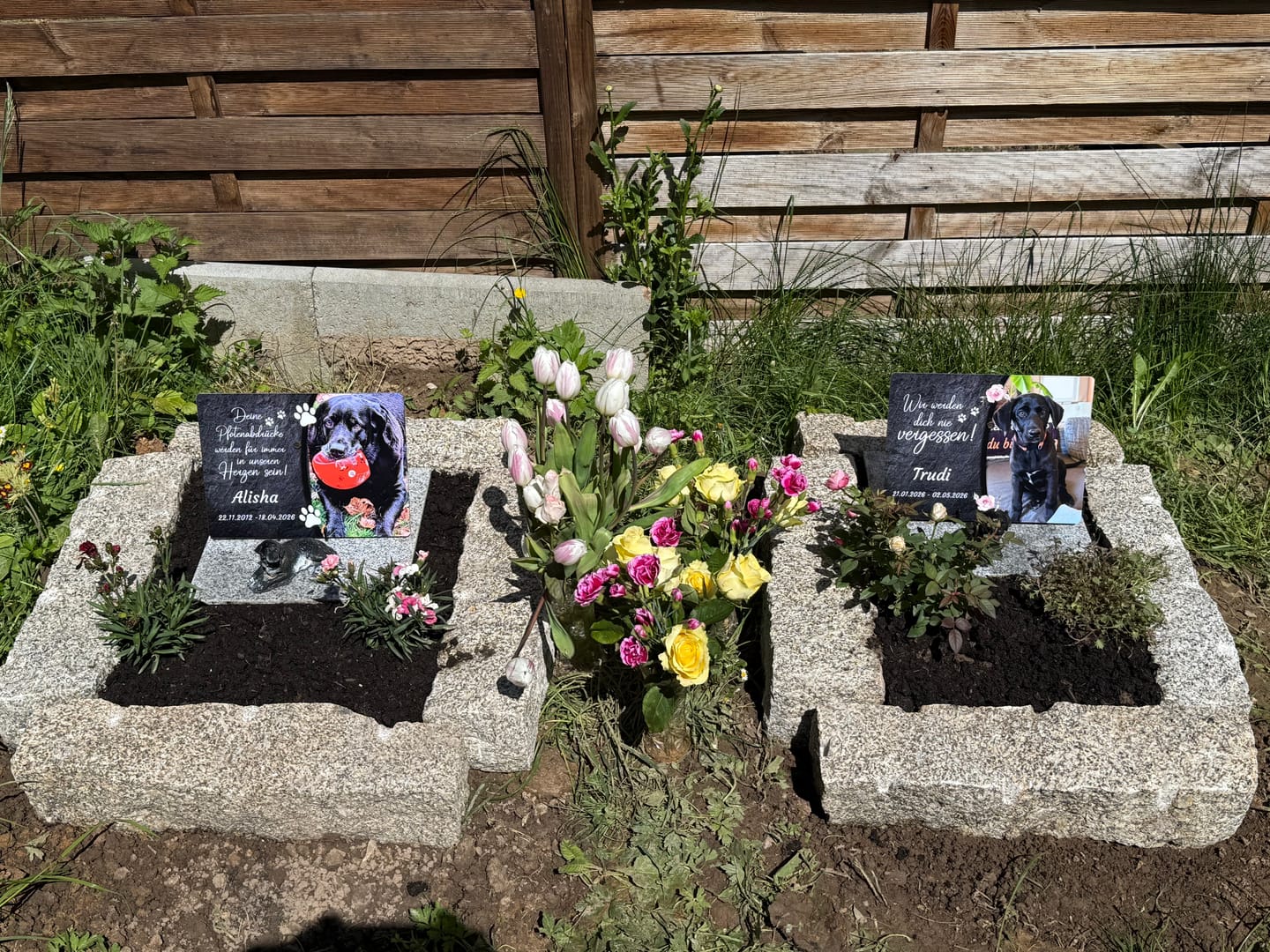 Customer photo review of Hunde Gedenktafel mit Foto & Spruch (UV- & Wetterfest)
