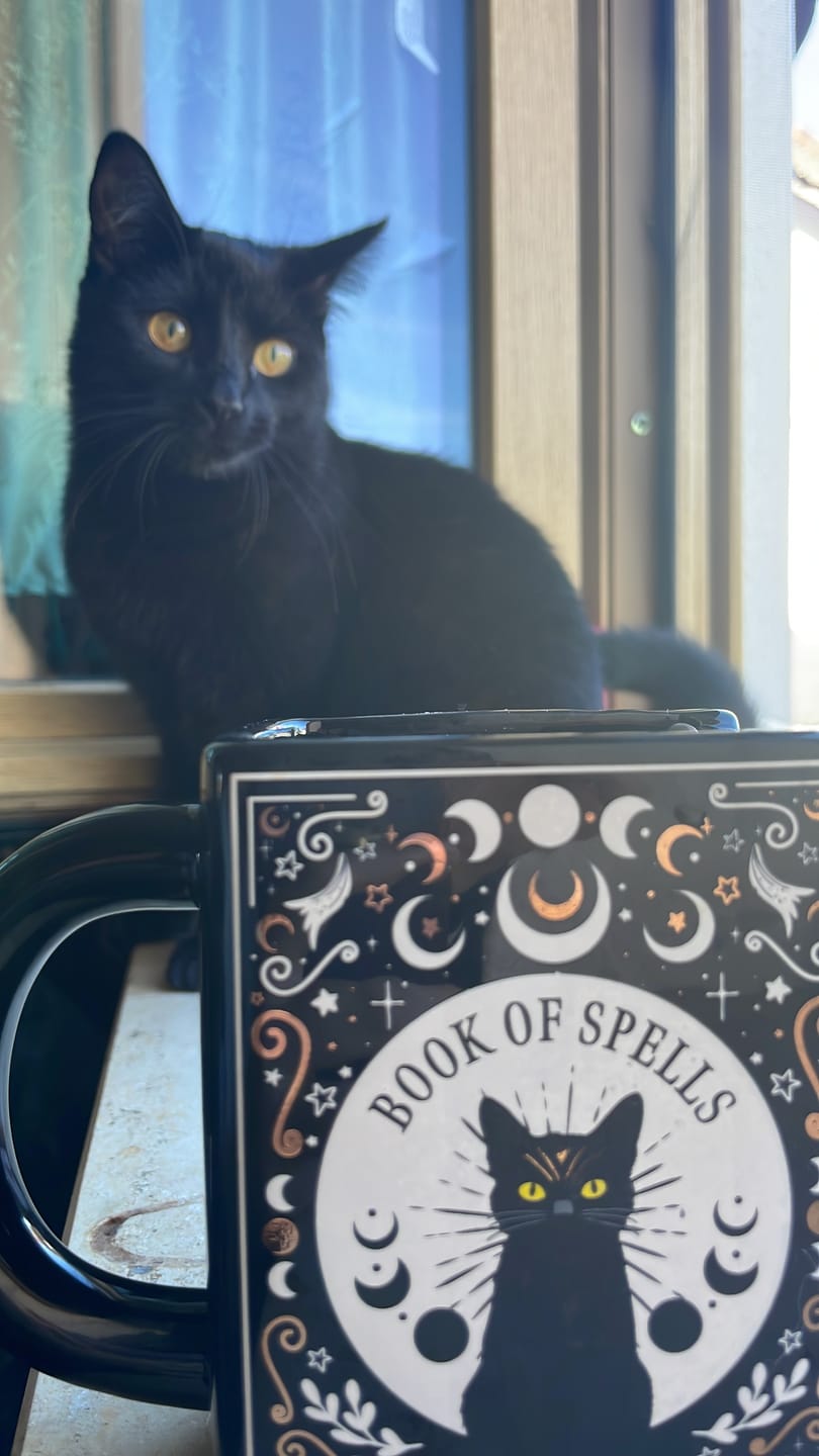 Customer photo review of Schwarze Katze Tasse Buchform – Witchy Buchtasse für Katzenliebhaber