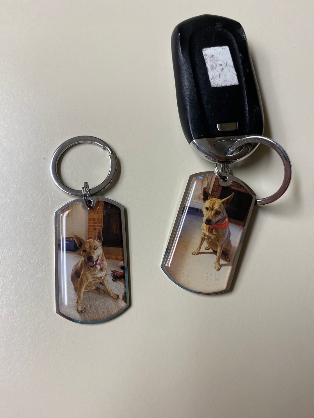 Customer photo review of Personalized Pet Keychain