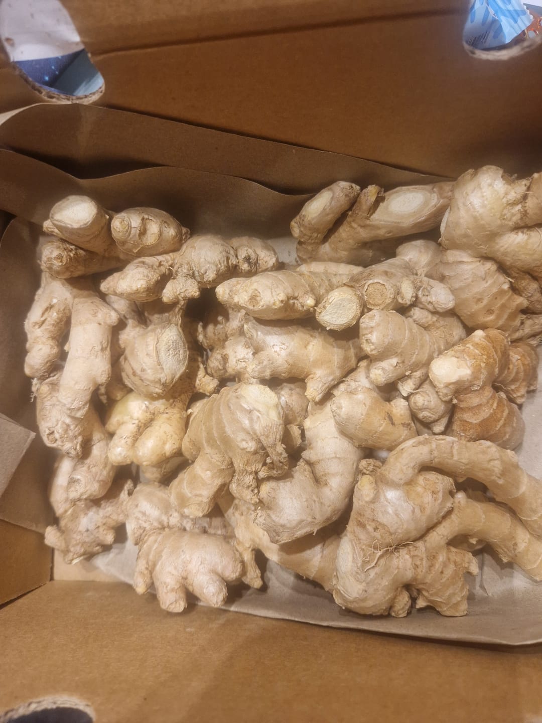 Customer photo review of Ingwer Bio aus Peru mit Schale verwertbar!