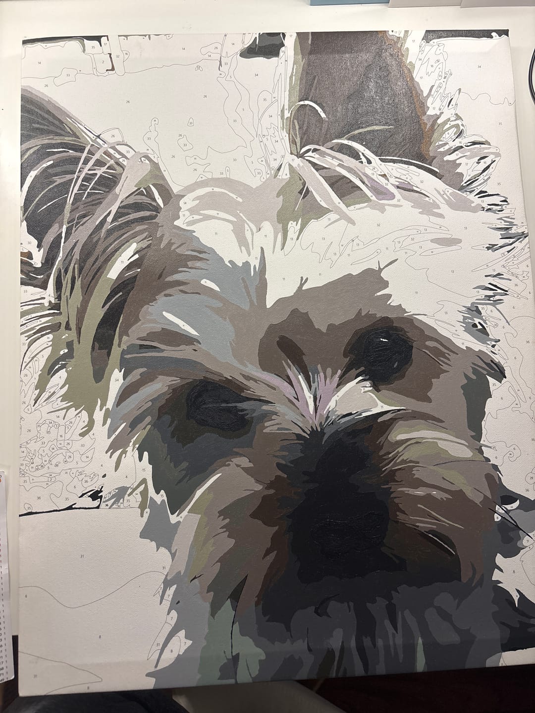 Customer photo review of Custom Paint by Numbers Kit