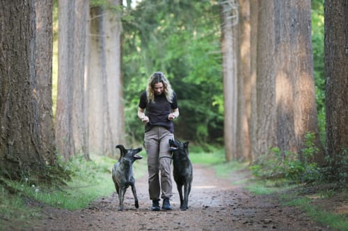 Anmelder på vandretur i skoven med to hunde, iført sin sorte FeelFree Dog Walker Zip T-shirt.