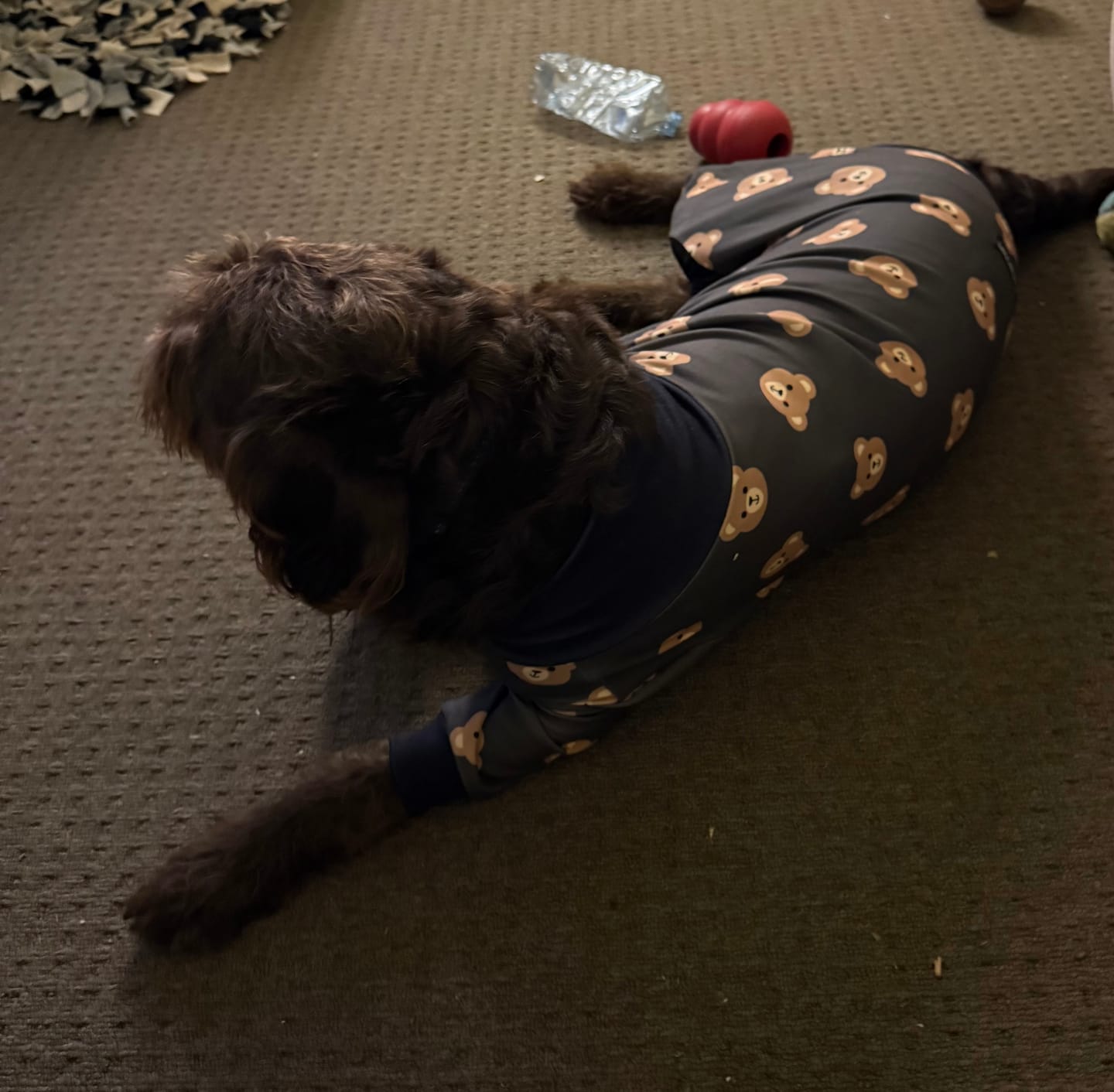 Customer photo review of Dog Pajama - Bear Black